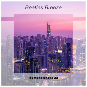 Various Artists的专辑Beatles Breeze Sympho Shake 22