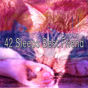 ดาวน์โหลดและฟังเพลง Trial of Sleep พร้อมเนื้อเพลงจาก All Night Sleeping Songs to Help You Relax