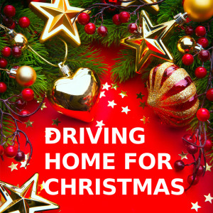 Driving Home For Christmas (Instrumental Versions)