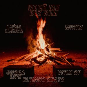 Various Artists的專輯Você Me Diz Sim