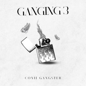 Album Ganging 3 from conii gangster