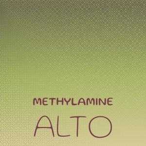 ดาวน์โหลดและฟังเพลง Methylamine Alto พร้อมเนื้อเพลงจาก Yana Koey