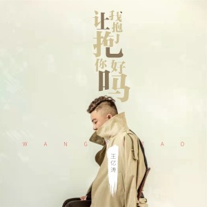 Album 让我抱抱你好吗 from 王亿涛