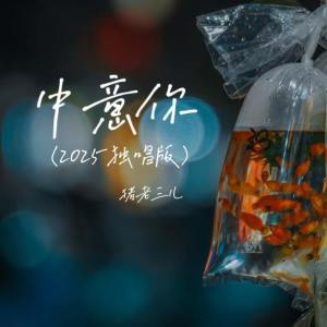 Album 中意你 (2025独唱版) from 猪老三儿