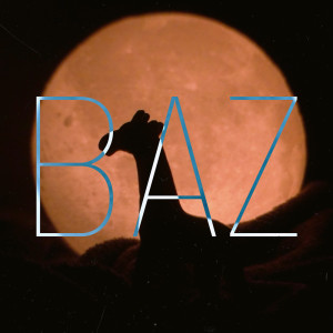 Listen to BAZ song with lyrics from Burak Gassanov