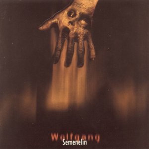 ดาวน์โหลดและฟังเพลง Change พร้อมเนื้อเพลงจาก Wolfgang