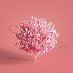 Album Flower from Splen (스플렌)