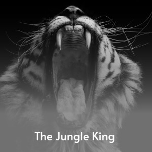 收听Count Basie的The Jungle King歌词歌曲