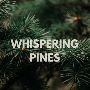 Zen Spa Zen Relaxation Zen Massage的專輯Whispering Pines