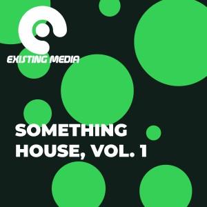 Various Artists的專輯Something House, Vol. 1