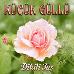 收聽Küçük Güllü的Asker Abim歌詞歌曲