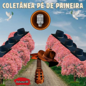 Coletânea Pé de Paineira的專輯Coletânea Pé de Paineira Vol. 01