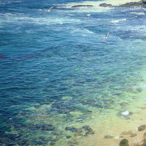收聽Sleep Sound Library的Woke Up by the Sea Shore歌詞歌曲