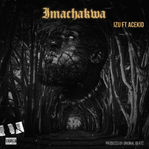 ดาวน์โหลดและฟังเพลง Imachakwa (Explicit) พร้อมเนื้อเพลงจาก Izu