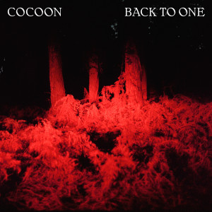 收聽Cocoon的Back To One歌詞歌曲