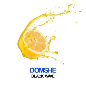 ดาวน์โหลดและฟังเพลง Black Wave พร้อมเนื้อเพลงจาก Domshe