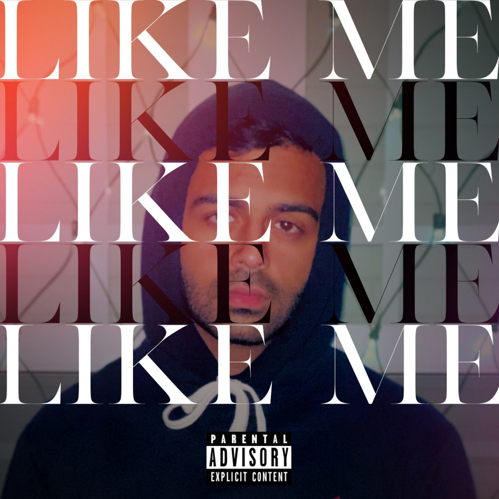 Like Me (Explicit)