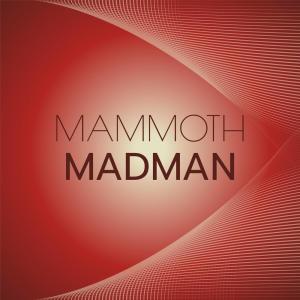 Various Artists的專輯Mammoth Madman