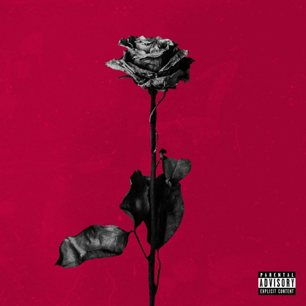 idfc (Explicit)