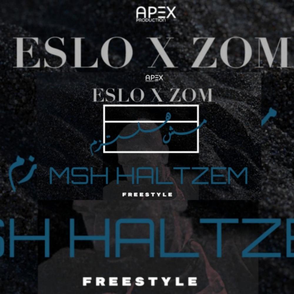 Msh Haltzem