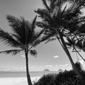 ดาวน์โหลดและฟังเพลง Be Somebody (Explicit) พร้อมเนื้อเพลงจาก Soren