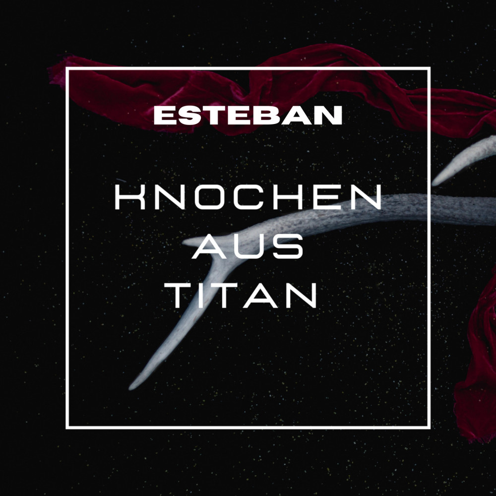 Knochen Aus Titan