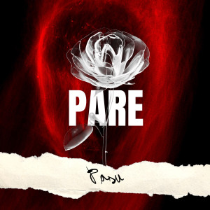 收聽Pasu的Pare歌詞歌曲