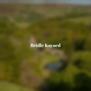 Listen to Late Whereto song with lyrics from Phine Feer