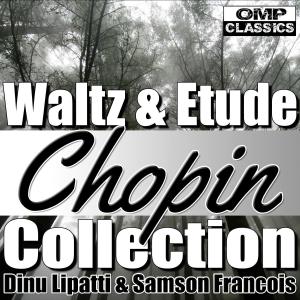 收聽Dinu Lipatti的Waltz in E Minor (完整版)歌詞歌曲