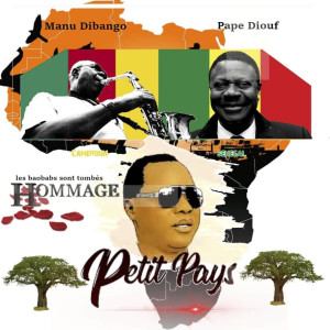Petit Pays的专辑Les baobabs sont tombés (Hommage)