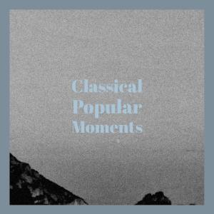 Album Classical Popular Moments from Various