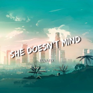 อัลบัม She Doesn't Mind ศิลปิน Elvatix