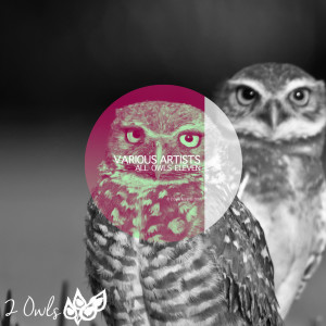 All Owls Eleven dari Various