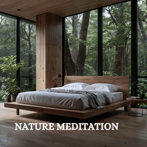ดาวน์โหลดและฟังเพลง Rainy Shimmer พร้อมเนื้อเพลงจาก Stillness Sanctuary