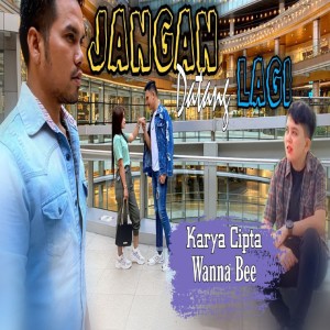 收听Wanna Annisyah Purba的Jangan Datang Lagi歌词歌曲