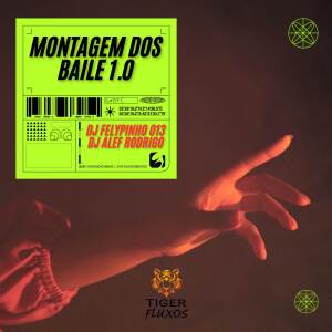 DJ FELYPINHO 013的專輯MONTAGEM DOS BAILE 1.0