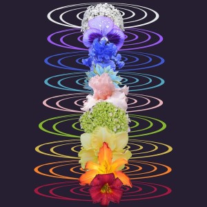 Listen to 528 hz (Positive Transformation) song with lyrics from Sound Bath
