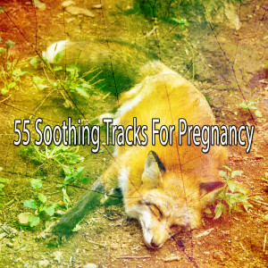 Relajacion Del Mar的專輯55 Soothing Tracks for Pregnancy