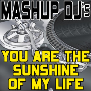 收聽Mashup DJ's的You Are The Sunshine Of My Life (Original Radio Mix) [Re-Mix Tool] (Re-Mix Tool)歌詞歌曲