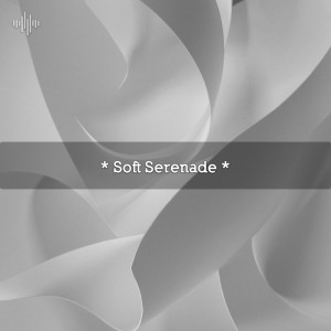 Yoga的专辑* Soft Serenade *