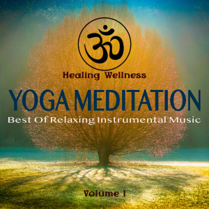 Dengarkan Deep Relaxation Part 2 lagu dari Various dengan lirik