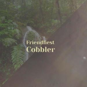 ดาวน์โหลดและฟังเพลง Friendliest Cobbler พร้อมเนื้อเพลงจาก Elizabeta Relo