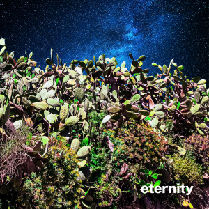 Album eternity from starRo