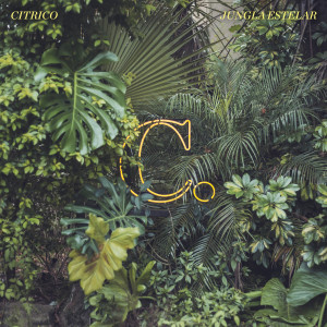 Listen to Mística Análogica song with lyrics from Cítrico