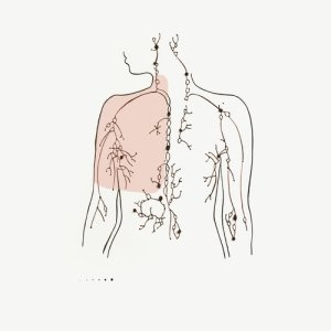收聽Fax的Constellation歌詞歌曲