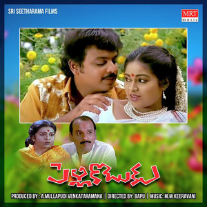 M M Keervani的專輯Pelli Koduku (Original Motion Picture Soundtrack)