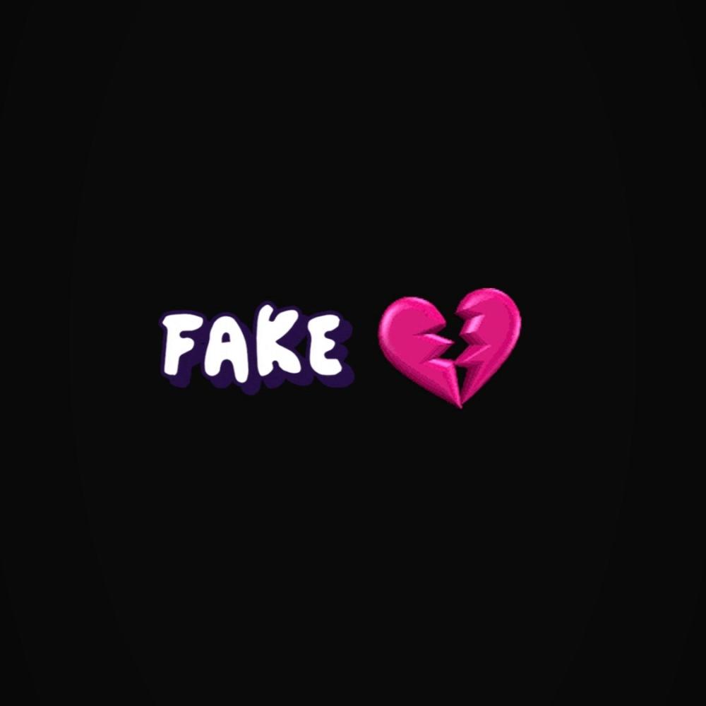Fake Luv (feat. Lilz.Jr) (Explicit)