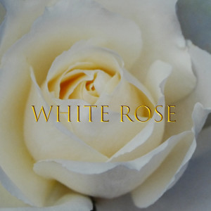 White rose (feat. Mew & CYBER DIVA)