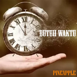 Album BUTUH WAKTU from PineApple