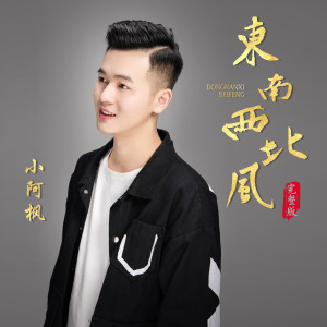 Album 东南西北风（完整版） from 小阿枫